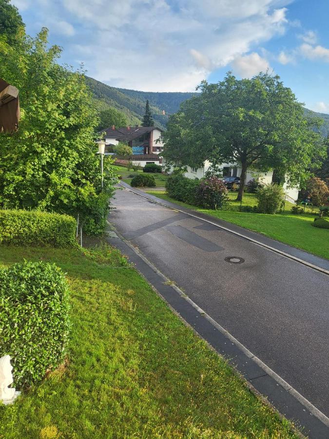 Ferienwohnung Freudenberg Freudenberg am Main Exteriér fotografie